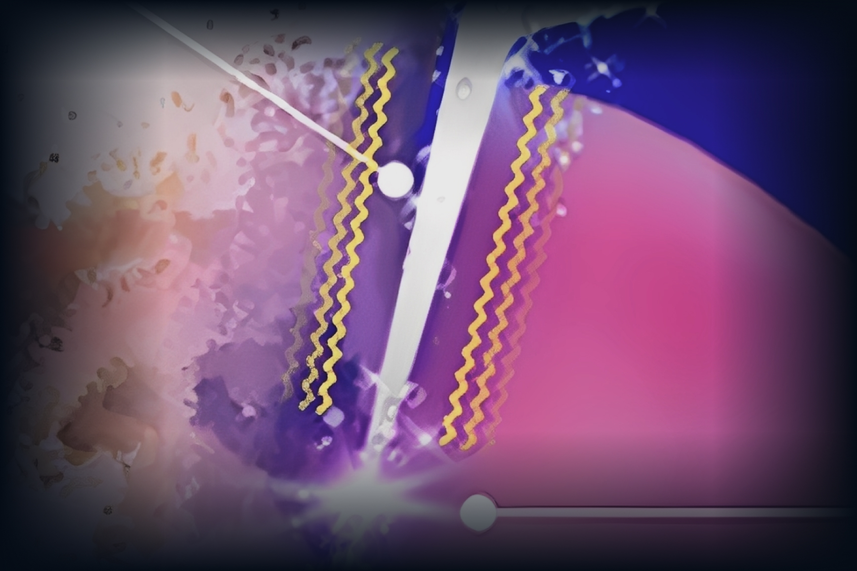 汚れの除去をサポート